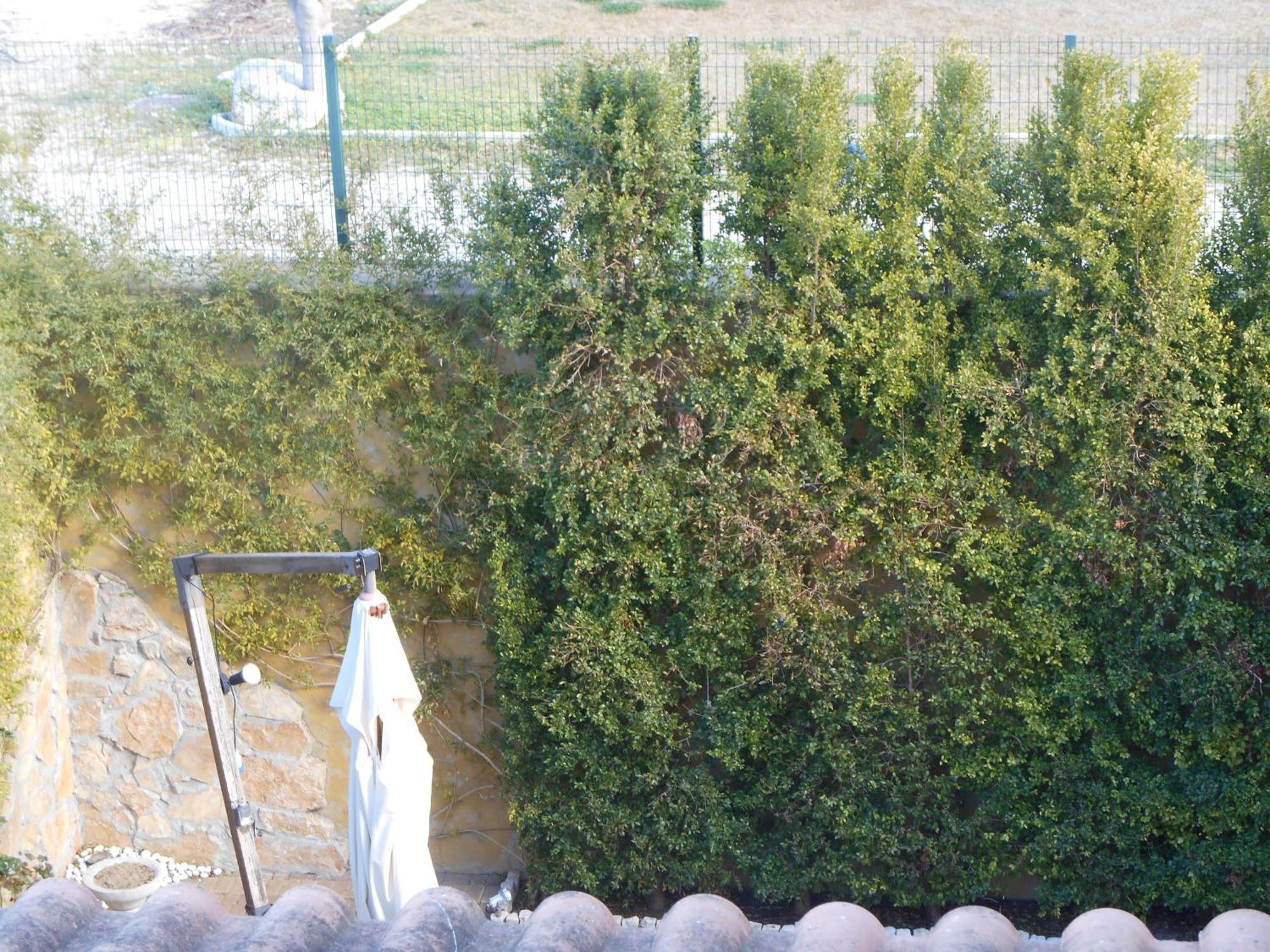 Bed & Breakfast Giardini Di Marzo レッチェ エクステリア 写真
