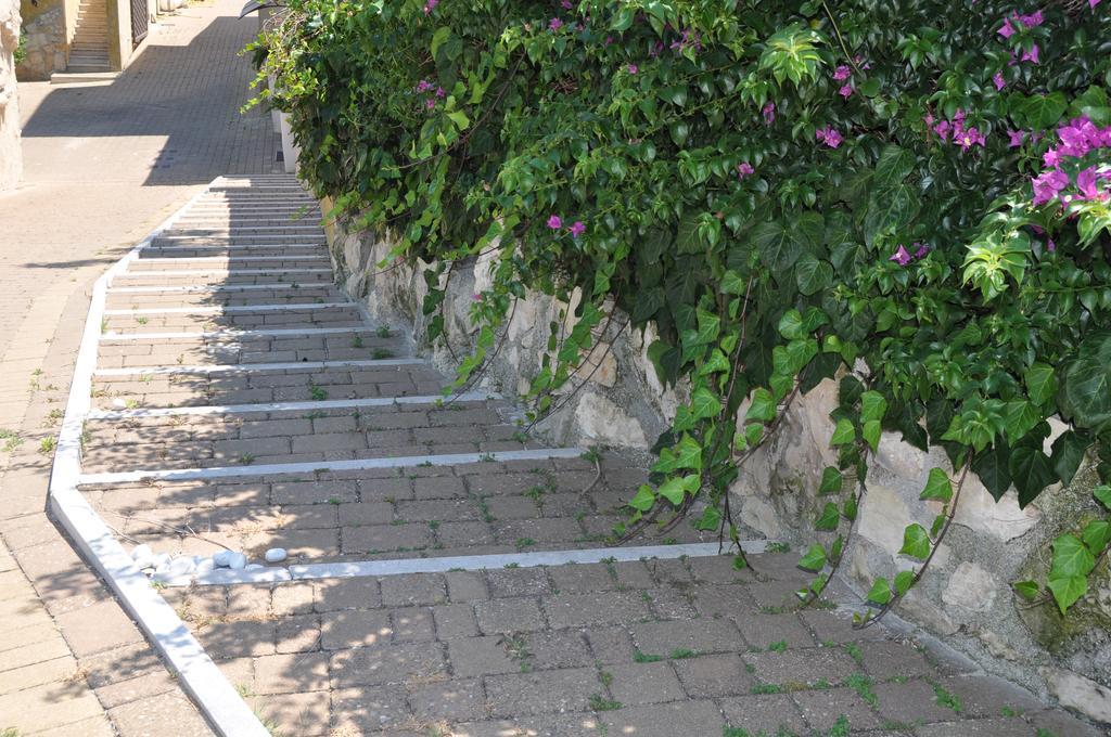 Bed & Breakfast Giardini Di Marzo レッチェ エクステリア 写真