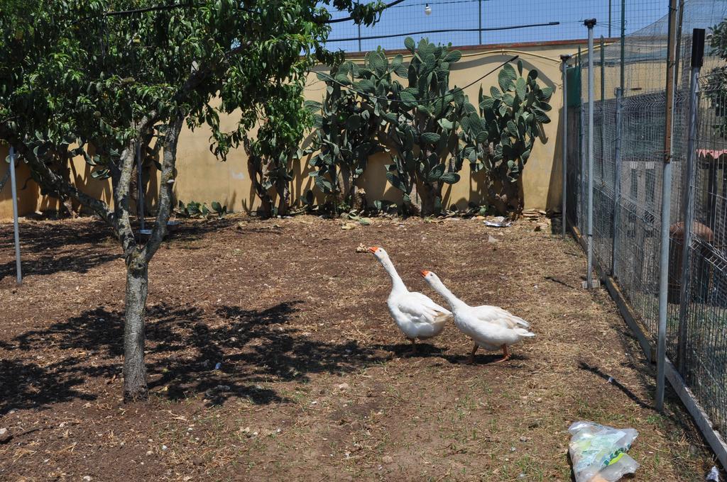 Bed & Breakfast Giardini Di Marzo レッチェ エクステリア 写真